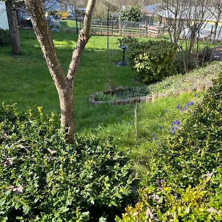 Ferien- Und Monteurwohnung Zum Waldblick