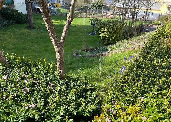 Ferien- Und Monteurwohnung Zum Waldblick